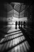 Shadows and Light - Caribbean