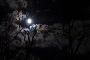 Moon over Lexington