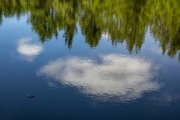 Trout Pond, Bob Sandlin State Park - Pittsbury, TX