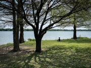 Serenity at White Rock Lake - Dallas, TX