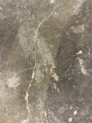 Exposed Concrete - Addison, TX