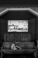 Boy and Video at Tate Farm - Rockwall, TX