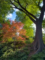 Dallas Arboretum - Dallas, TX
