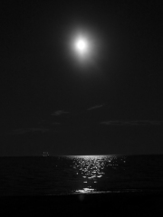 Night on Cape Cod Bay