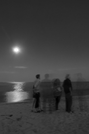 In the Moonlight, Ghost among Friends - August 2014