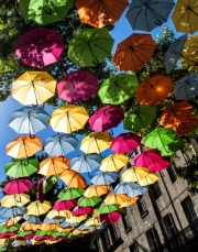 Saumur's Umbrellas - September 2015