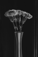 Restaurant Flower Vase