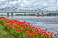 Mississippi River - Natchez, MS
