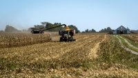 Corn Harvesting at Whitney Farm - Bloomingburg, OH