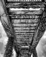 Walkway - Columbus, IN