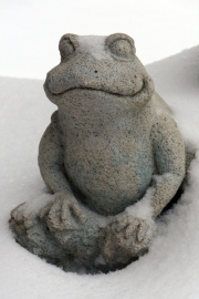 Frog on Porch in Snow