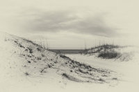 Santa Rosa Beach, FL