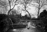 Arboretum - Dallas, TX