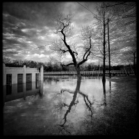 Boathouse- White Rock Lake, Dallas TX