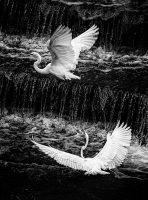 White Rock Lake Spillway - Dallas, TX