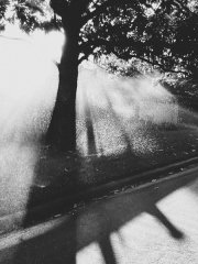 Sprinklers Silhouette - Lakewood, Dallas, TX