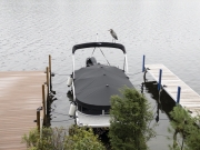 Bird on Boat on Lake Winnipesauke - Moultonborough, NH