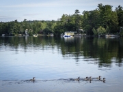 Tranquil Lake Winnipesauke - Moultonborough, NH