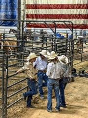 Rodeo Cowboys - Mesquite, TX