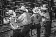 Rodeo Cowboys - Mesquite, TX