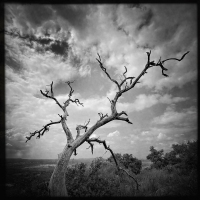 Near Enchanted Rock - Fredericksburg, TX