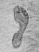 Footprint - Coronado Island, CA