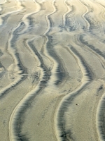 Wave and Sand Action - Coronado Island, CA