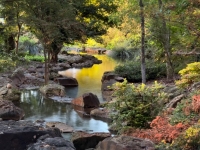 Fall at the Arboretum - Dallas, TX