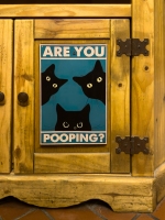Bathroom Cabinet - Frisco, CO
