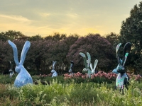 Arboretum Bunnies - Dallas, TX