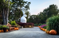 Fall at the Arboretum - Dallas, TX