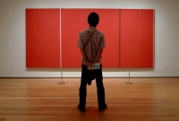 Imagining a Color other than Red