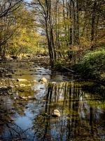 Little River - Stowe, VT