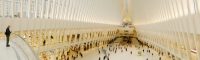 Oculus Pano - New York City, NY