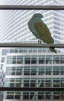 Atrium Birds in Brookfield Center - New York City, NC