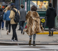 NYC Street Scene - New York City, NY