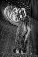 5th Avenue Storefront Window Reflection - New York City, NY