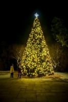 Dallas Arboretum - Dallas, TX