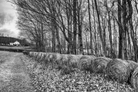 Hiking Trail - Pittsfield, MA