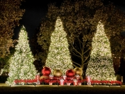 Christmas Lights - Lakewood, Dallas, TX