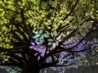 Plaza by Pittman Hotel - Dallas, TX