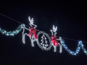 Christmas Lights - Grapevine, TX