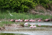 Rio Grande Valley, TX