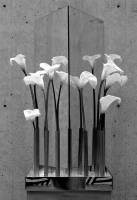 Lilies and Mirrors - April 2009