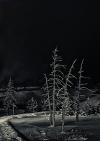 The Path Into Yellowstone Night - December 2014