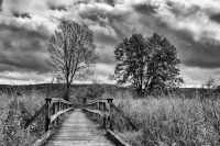 Helen's Way Walk