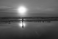 Beach and Boy and Birds at Sunrise - Saint Augustine, FL