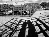 The Rodeo - Steamboat Springs, CO