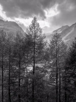 View from Train - Switzerland