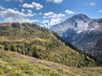 Alp Languard - Switzerland